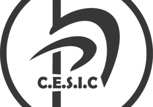 CESIC PROTECCIÓN PERSONAL